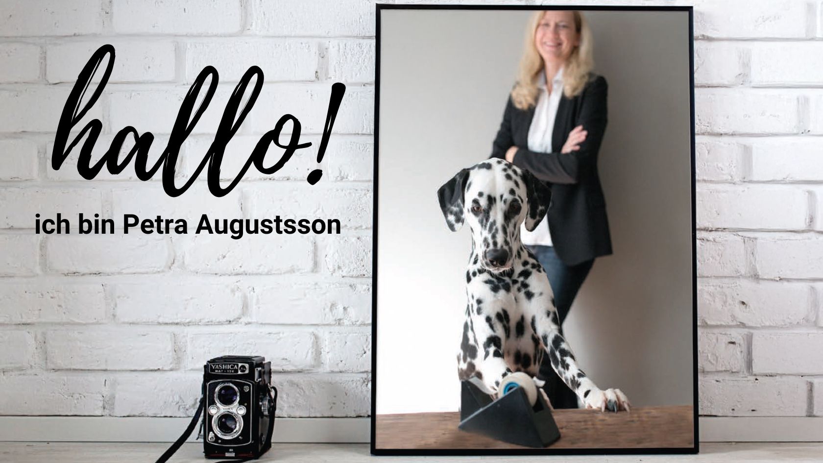 mediabypetra_Startbild