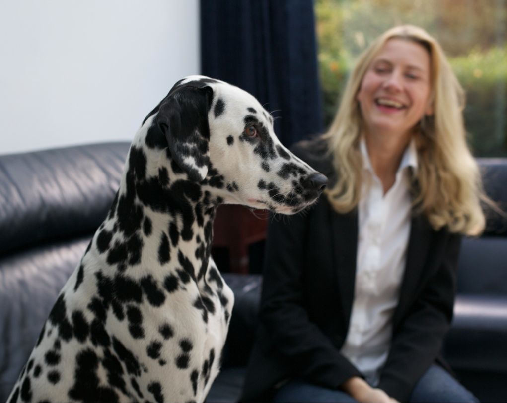 mediabypetra_kontakt